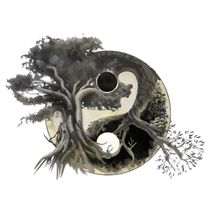 Yassine BENAICHA Teyran, Professionnel indépendant