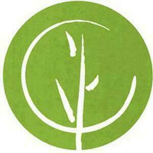 Anne Chantal Le Chesnay, Professionnel indépendant