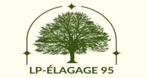 Lp élagage 95 Saint-Brice-sous-Forêt, Paysagiste, Jardinier, Paysagiste