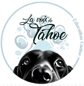 La voix de Tahoe Ronchin, Éducateur