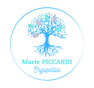 Marie Piccardi Bordeaux, Professionnel indépendant