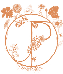 Julie Peschier Naturopathe Serres, Professionnel indépendant