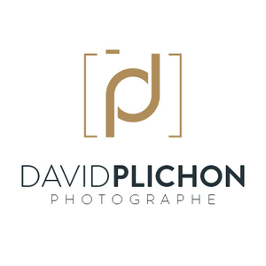 David Plichon Lille, Photographe