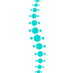 Clément Guillon Verne - Ostéopathe Campénéac, Professionnel indépendant