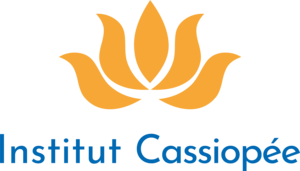 Institut Cassiopée Chatou, Professionnel indépendant