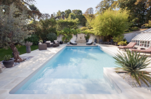 Maxime MICHEL La Clotte, Professionnel indépendant