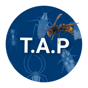 TAP (Traitement AntiParasites) Reims, Entreprise de désinfection, désinsectisation et dératisation