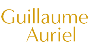 Guillaume Auriel Lagny-sur-Marne, Professionnel indépendant
