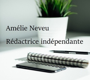 Amélie Neveu Quetigny, Rédacteur, Secrétaire à domicile