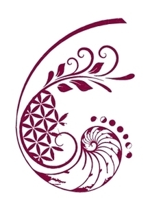 Erell Fougères Ambazac, Professionnel indépendant