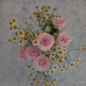 Lunessence Joy L'Île-d'Olonne, Professionnel indépendant