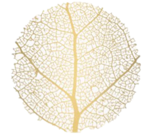 Elsa Girard Osteopathe Grenoble, Professionnel indépendant