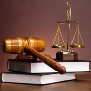 Fabien MANOURY E.I. Antibes, Professionnel indépendant