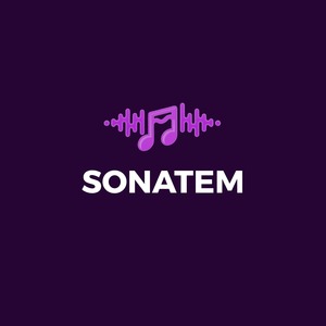 sonatem Alénya, Agent commercial, Autre prestataire de communication et medias