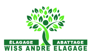 WISS ELAGAGE 76 Sotteville-Lès-Rouen Sotteville-lès-Rouen, Jardinier