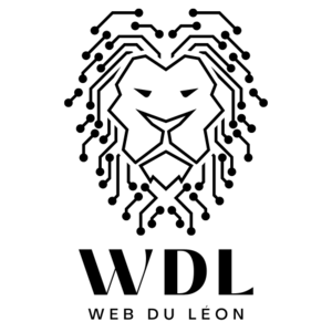 Web du Léon Morlaix, Développeur, Webmaster