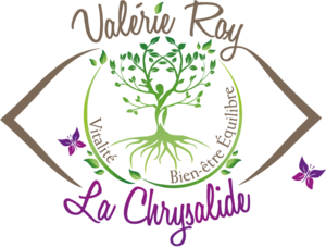 Valérie Roy Soubise, Professionnel indépendant