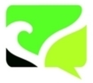 Cécile Verdier CM Pau, Conseiller en communication