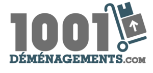 1001Déménagements.com Villeurbanne, Déménageur