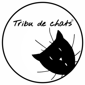 Tribu de chats Javerdat, Autre prestataire arts graphiques et création artistique