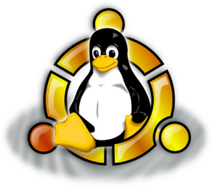 Sylinfo84 Sylvie Drouet Croc Villes-sur-Auzon, Réparateur d'ordinateurs et d'équipements de communication