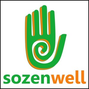 sozenwell Savigny-sur-Orge, Autre prestataire de services, Autre prestataire de services aux entreprises