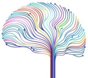 Neurodiverse Solutions Limoges, Consultant, Traducteur