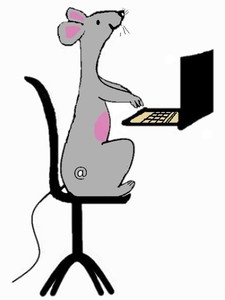 La Petite Souris du Secrétariat Beaugency, Secrétaire à domicile, Prestataire de services administratifs divers