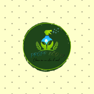 Yassine marie-claire Saint-Porchaire, Agent de nettoyage industriel