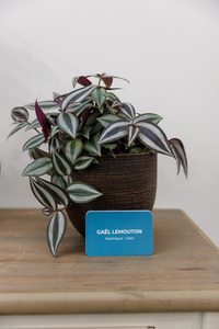 Gael Lemouton Caen, Autre prestataire santé et social