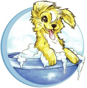 BOULE DE POILS Saint-Omer, Toiletteur d'animaux de compagnie