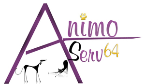AnimoServ64 Biarritz, Prestataire en soins et promenade d’animaux de compagnie
