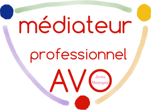 Jérôme Messinguiral Rodez, Médiateur, Formateur