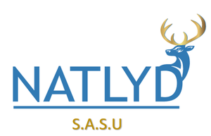 NATLYD  S.A.S.U Paris 4, Conseiller en marketing, Coach