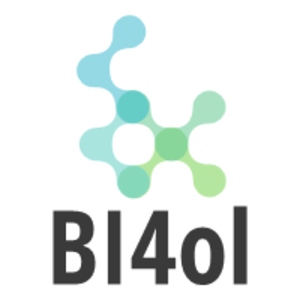 BI4ol Clermont-Ferrand, Assistant informatique et internet à domicile, Webmaster