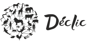 Déclic Strasbourg, Autre prestataire marketing et commerce, Chef de projet