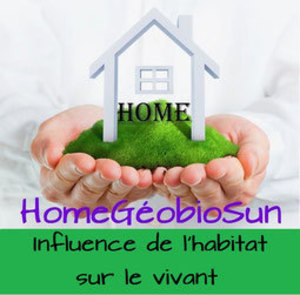 DALMAU CHRISTIAN Aucamville, Formateur