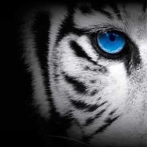 Anthony Guilloux - GRAPHILINK  Démouville, Graphiste, Designer web