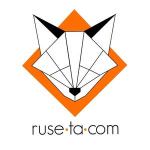 Thomas Blanc Vitrolles, Conseiller en communication, Webmaster