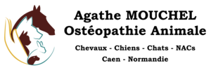 Agathe Mouchel - Osteopathie Anaimale Caen, Ostéopathe