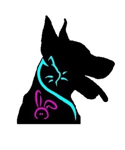 Animaude Badens, Prestataire en soins et promenade d’animaux de compagnie