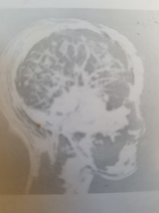 Tafani nelly  Sartène, Coach