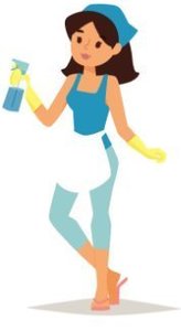 Dany nettoyage 40 Saint-Vincent-de-Tyrosse, Agent de nettoyage industriel, Prestataire de chambre d'hôtes et maison d’hôtes