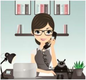 Sylvie BERALDIN Viry-Châtillon, Administrateur, Secrétaire à domicile