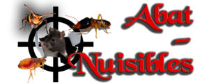 ABAT NUISIBLES 56 Guénin, Entreprise de désinfection, désinsectisation et dératisation