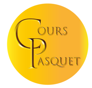 Stéphane Pasquet Bordeaux, Professeur