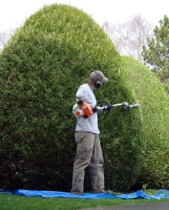 JardiProService Argences, Autre prestataire de services, Jardinier