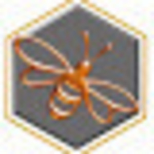 BeeServices Le Péage-de-Roussillon, Administrateur