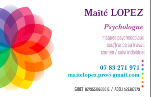 Maïté Lopez Saint-Étienne, Psychologue conseiller, Psychosociologue