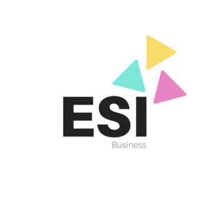 ESI Business  Saint-Benoît, Consultant